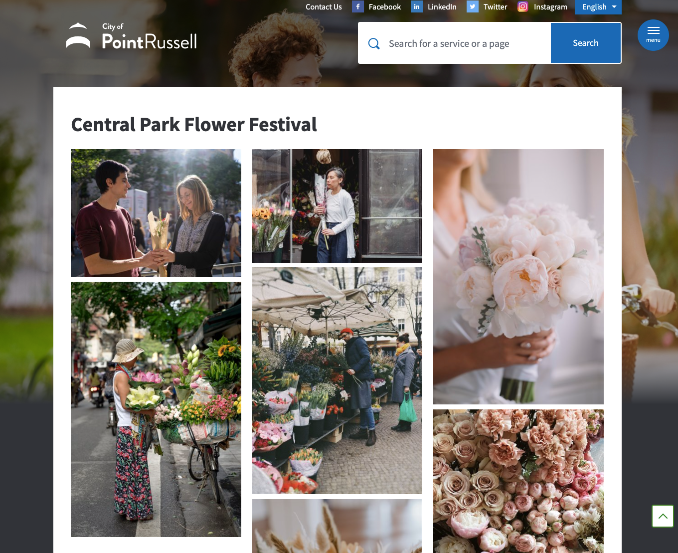 image gallery example