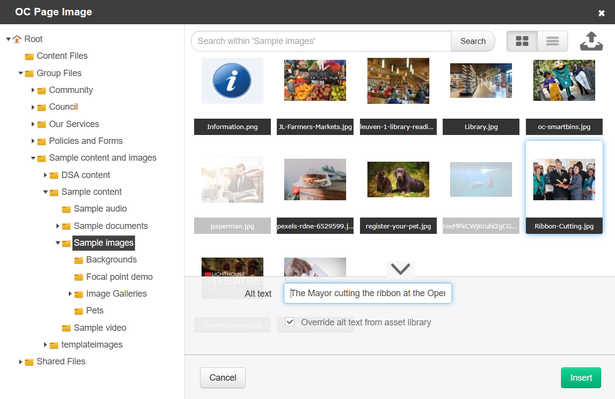 the override alt text box on a page image