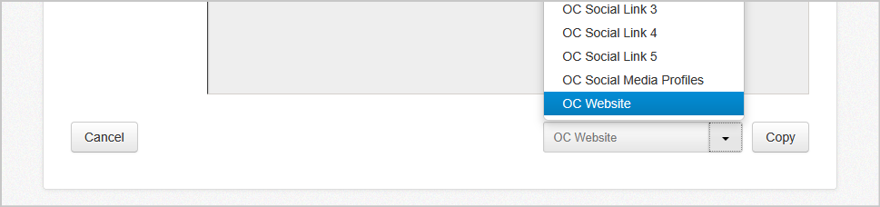 copy field template.png