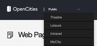 Site selection menu in the page admin