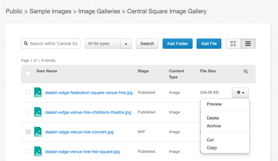 List view of the files library