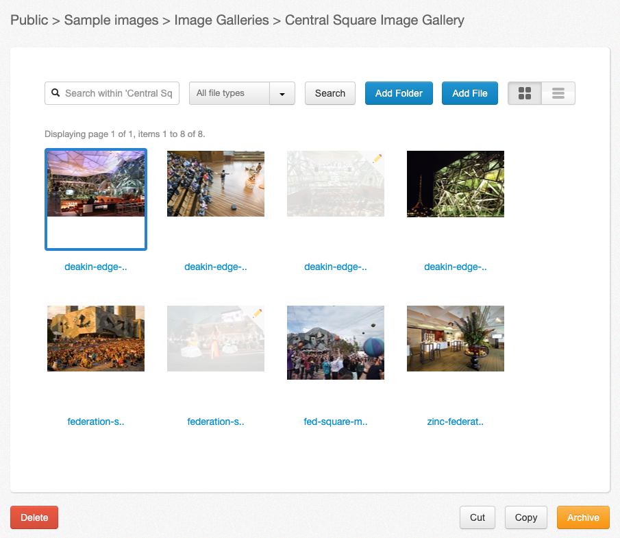 Grid view of the files library